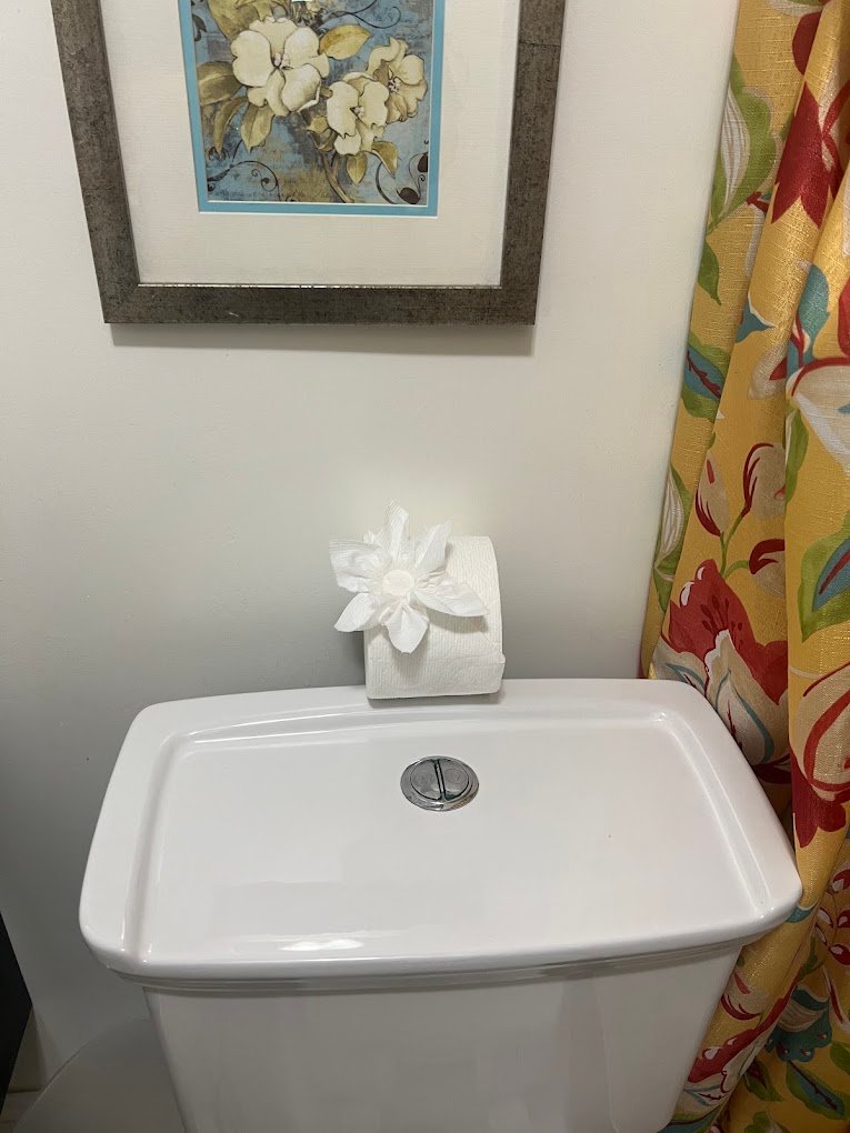 Mita Cleaning Services professional cleaning a client's home